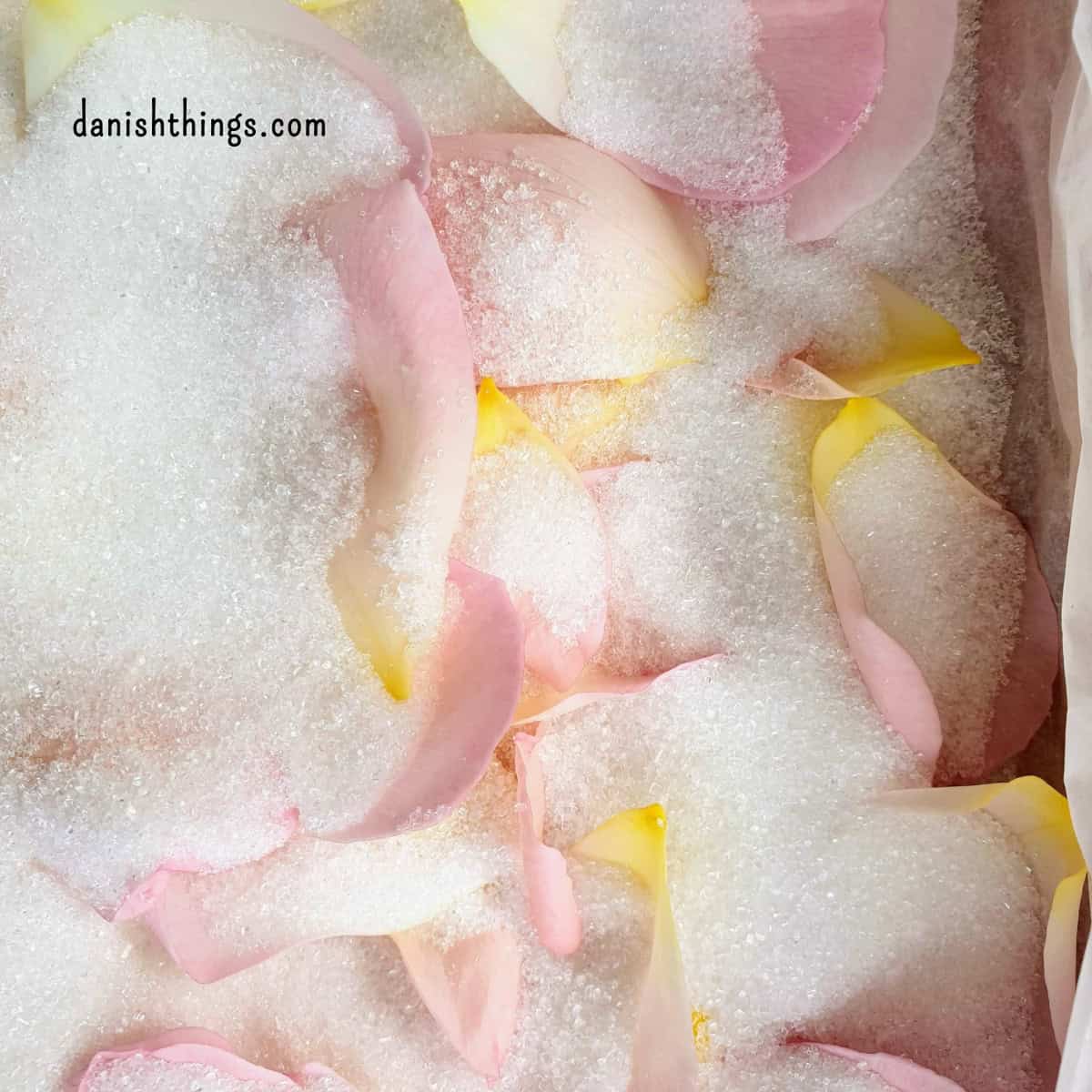 Lav lækkert, velsmagende sukker med en rosenparfumeret smag. Prøv at erstatte dit almindelige sukker med rosensukker i kager, desserter, søde lækkerier og drikke - du vil blive positivt overrasket. Find opskriften, inspiration til anvendelse og gratis print på danishthings.com #DanishThings #hybenrose #hybenrosesukker #rosensukker #roser #rosenparfumeret #sukker #rosenflormelis #flormelis #sukkerknald #blomster #spisnaturen #spiseligeblomster