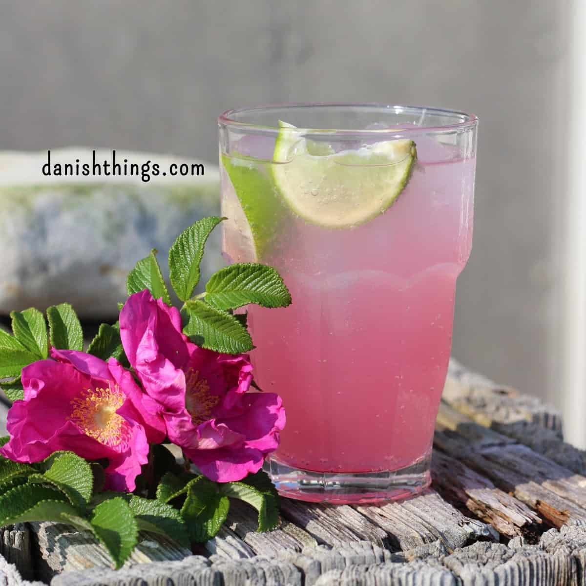 Smuk lyserød Rose lemon mocktail limebådene giver både smag og farvekontrast til din drik. Her fotograferet udendørs med friske hybenroser. © Christel Parby - danishthings.com #DanishThings #hybenrose #rosemocktail #hybenrosesirup #roser #rosensirup #mocktail #spiseligeblomster #spisnaturen