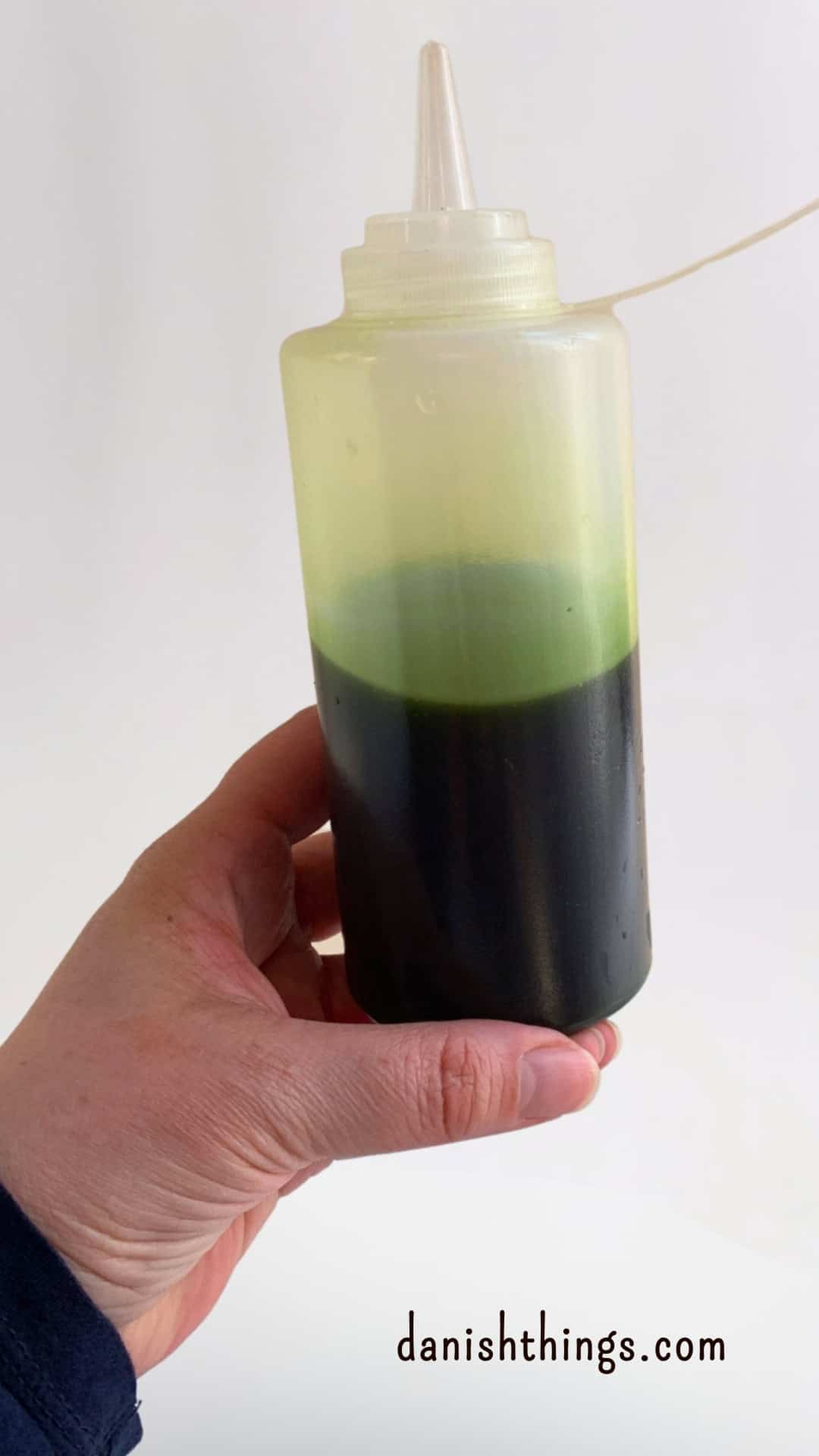 Få flot grøn olie med ramsløg ved at bruge den rette temperatur - og lær hvad du gør med ramsløgspulpen, så du undgår madspild. Find opskrifter og inspiration til årets gang på danishthings.com © Christel Parby - Danish Things #DanishThings #ramsløg #ramsløgsolie #SpisForåret #SpisNaturen #ramsløgspesto #ramsløgspasta #StopMadspild #GrønOlie #urteolie