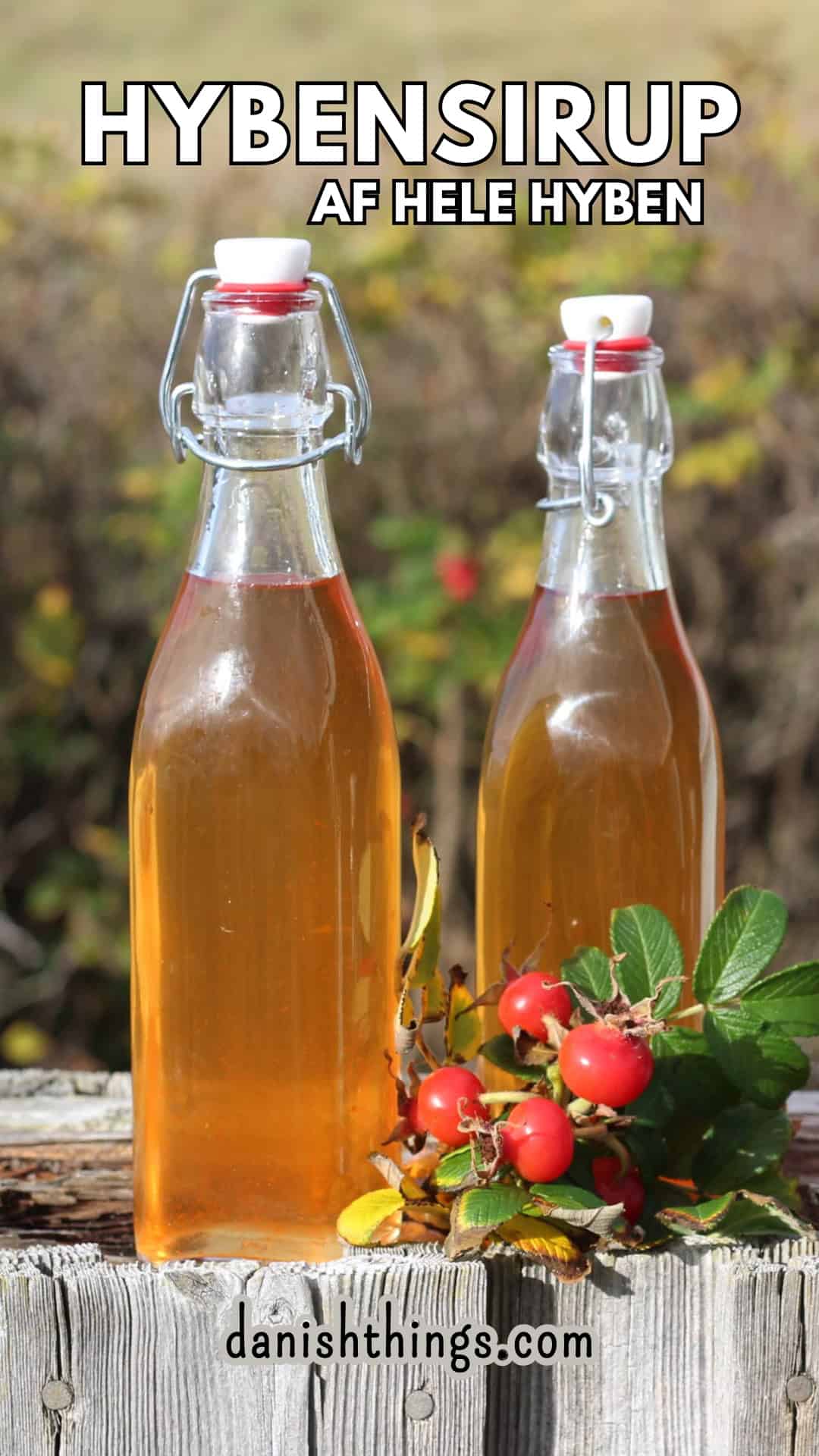 Hybenekstrakt og hybensirup af hele hyben – uden at fjerne kerner Hybensirup på flaske i naturen ved hybenbusken. Lav sirup af hele hyben – uden at rense for kerner og hybenhår. Find hele opskriften på danishthings.com. © Christel Parby #DanishThings #hybensirup #hyben #spisefteråret #vildmad