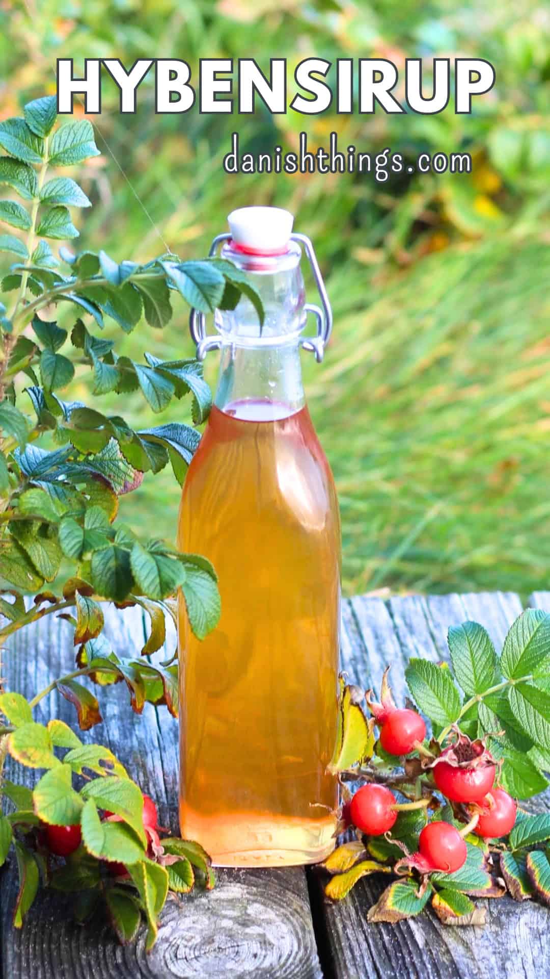 Hybenekstrakt og hybensirup af hele hyben – uden at fjerne kerner Hybensirup på flaske ude i naturen mellem hybenkvistene. Lav sirup af hele hyben – find hele opskriften og gratis etiketter på danishthings.com. © Christel Parby #DanishThings #hybensirup #hyben #spisefteråret