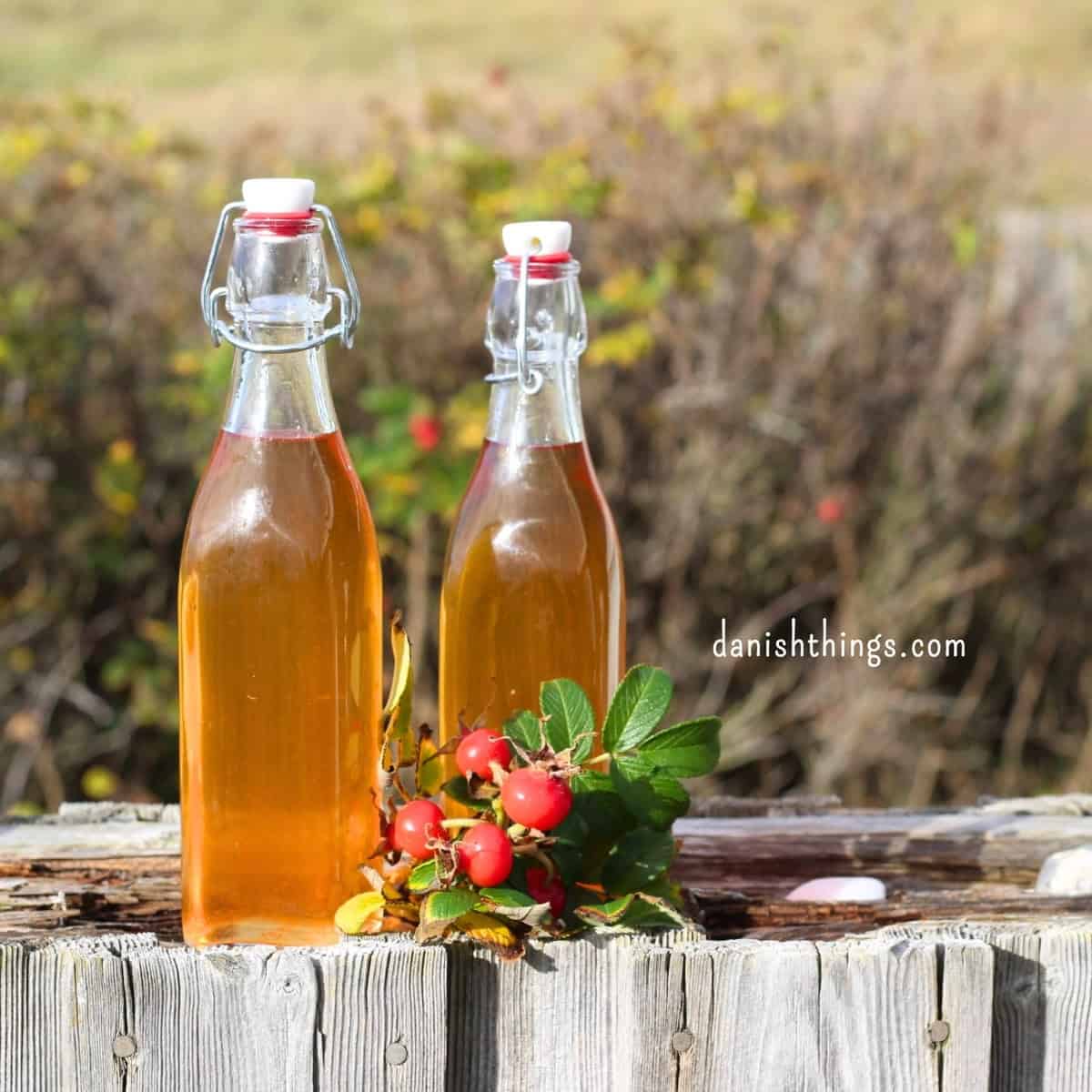 Hybenekstrakt og hybensirup af hele hyben – uden at fjerne kerner Hybensirup på flasker med friske hybenkviste – fra høst til flaske. Siruppen holder sig i månedsvis, hvis du opbevarer den mørkt og køligt. Find hele opskriften på danishthings.com. © Christel Parby #DanishThings #hybensirup #hjemmelavetsirup #holdbarhed